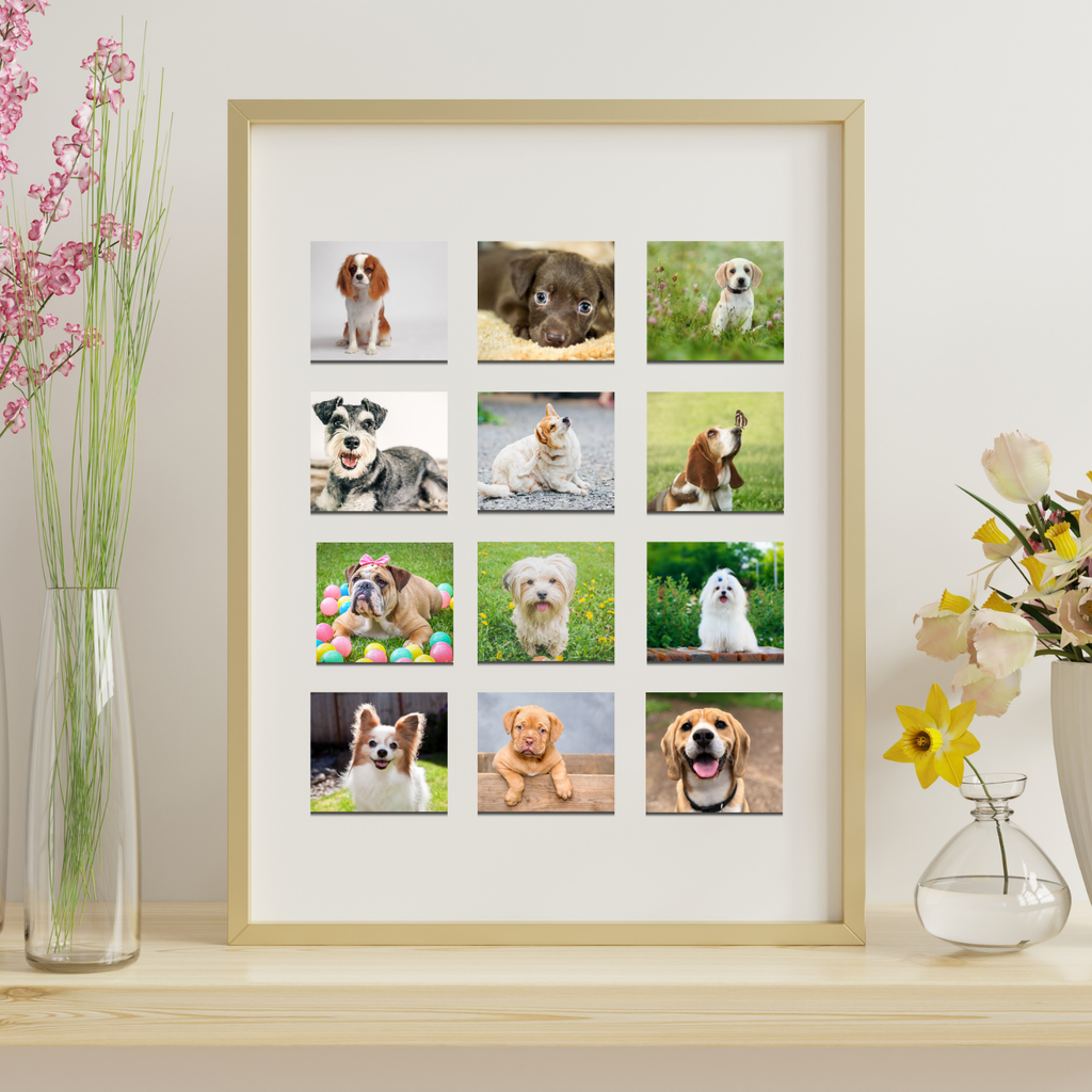 Square Photo Magnets | Size 2x2